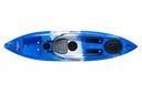 Prophecy 110 Standard